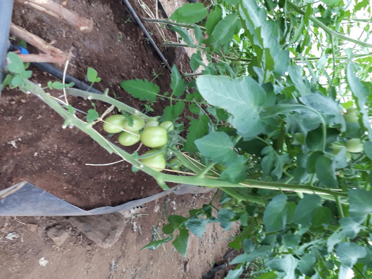Sandai Resort Lake Baringo Ol Kokwe 外观 照片