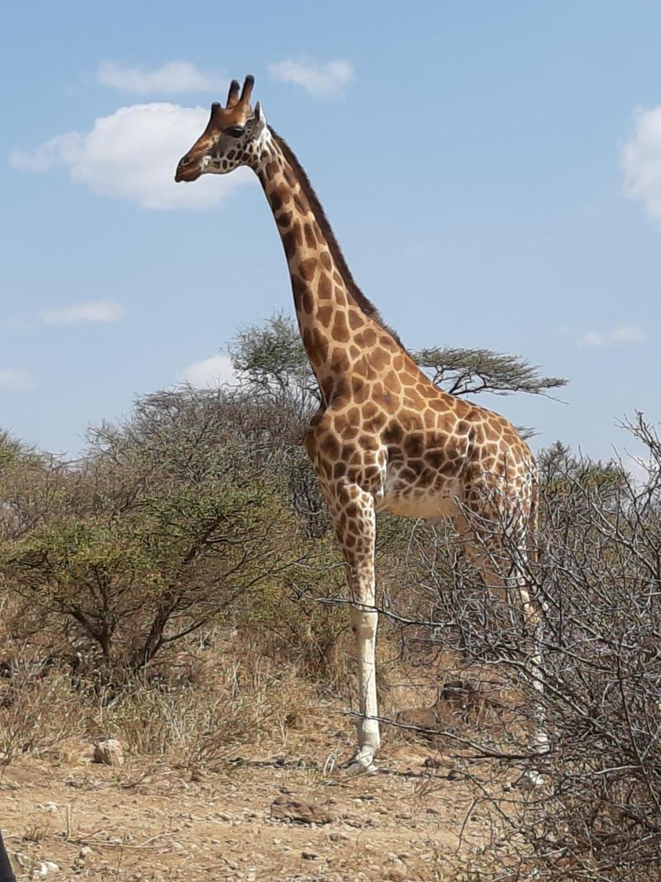 Sandai Resort Lake Baringo Ol Kokwe 外观 照片